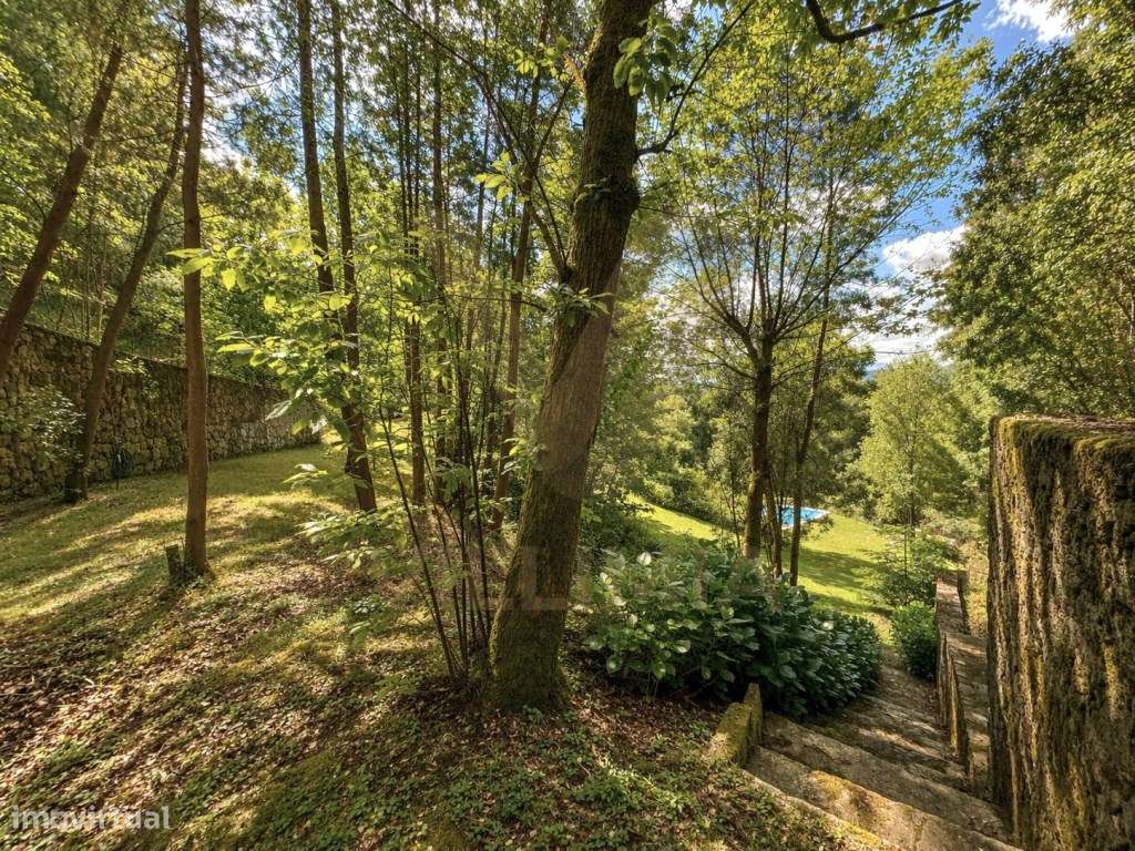 Propriedade com Casa Antiga, Piscina e Terreno Amplo - Cepões - Pon...-22