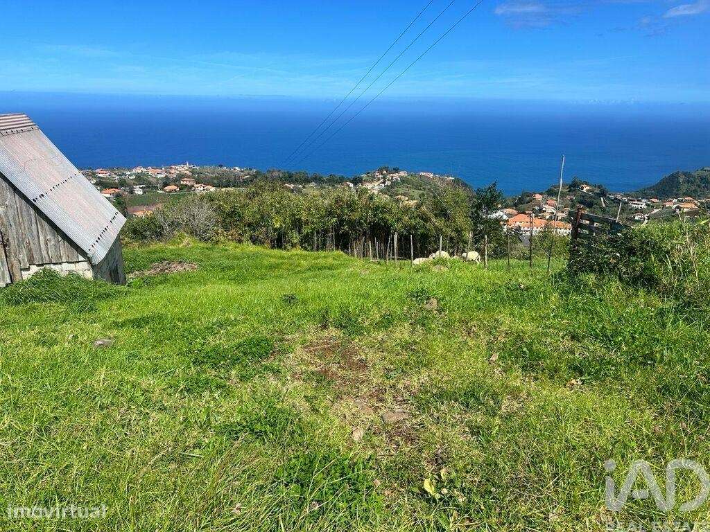 Terreno para construção em São Jorge de 1640,00 m2 - Grande imagem: 4/16
