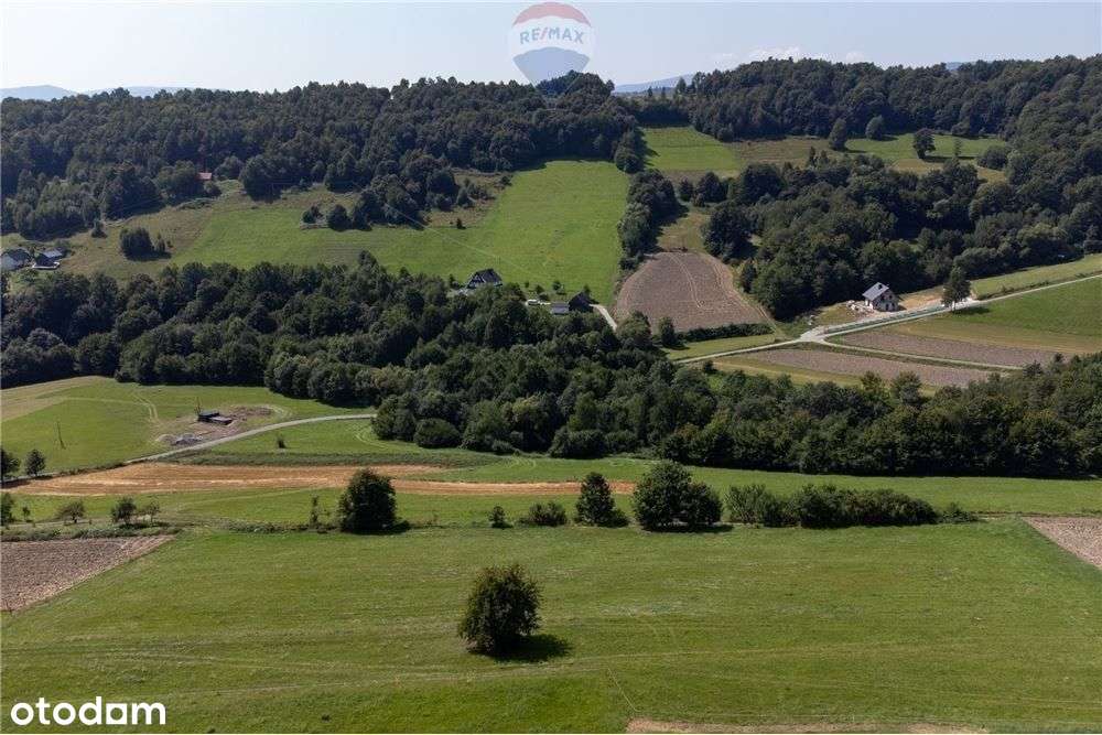 Prywatny las 3331 m2 - Twoja przestrzeń w naturze - Pełny obrazek: 4/20