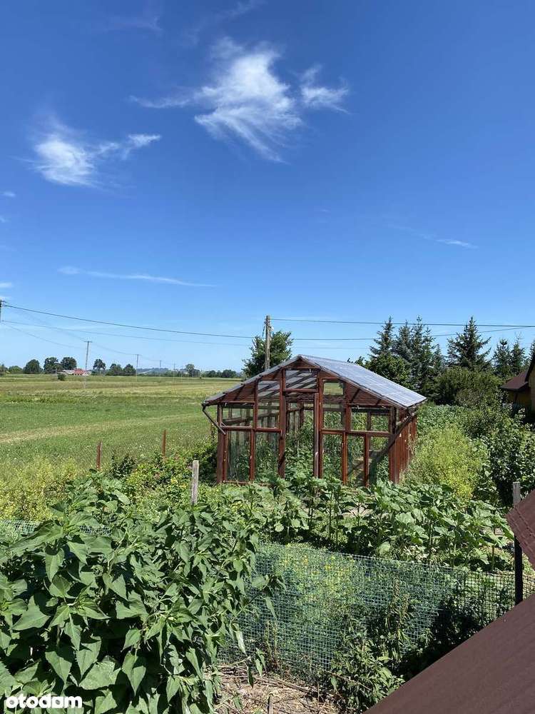 Siedlisko dom z działka 77 ar blisko natury, widok na Tatry, Beskidy - Pełny obrazek: 4/20