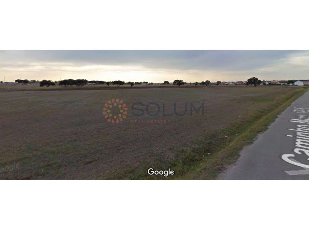 Terreno agrícola - 3 hectares na Jardia/Montijo - Grande imagem: 3/4