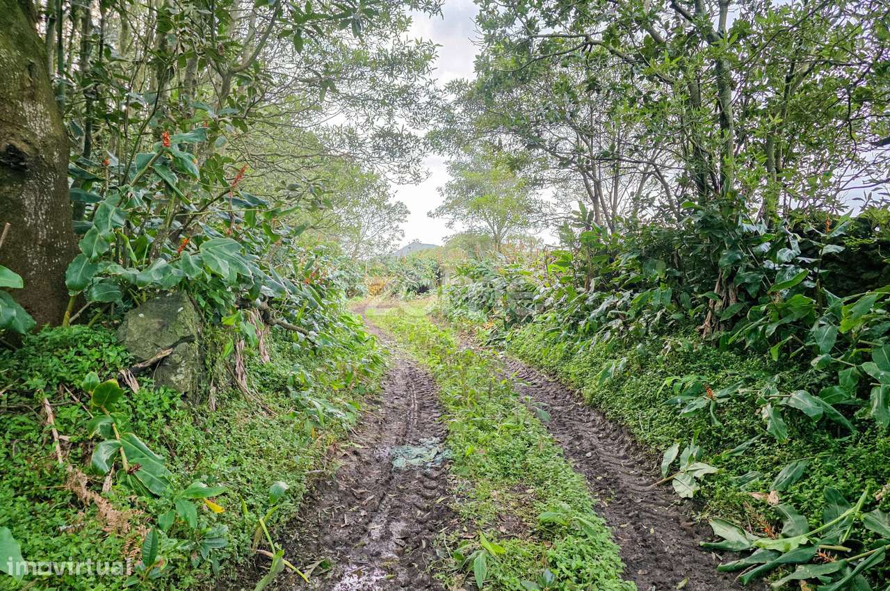 Terreno Rústico com 7.820m², Vista Mar e Bons Acessos em Rabo de Pe... - Grande imagem: 5/18