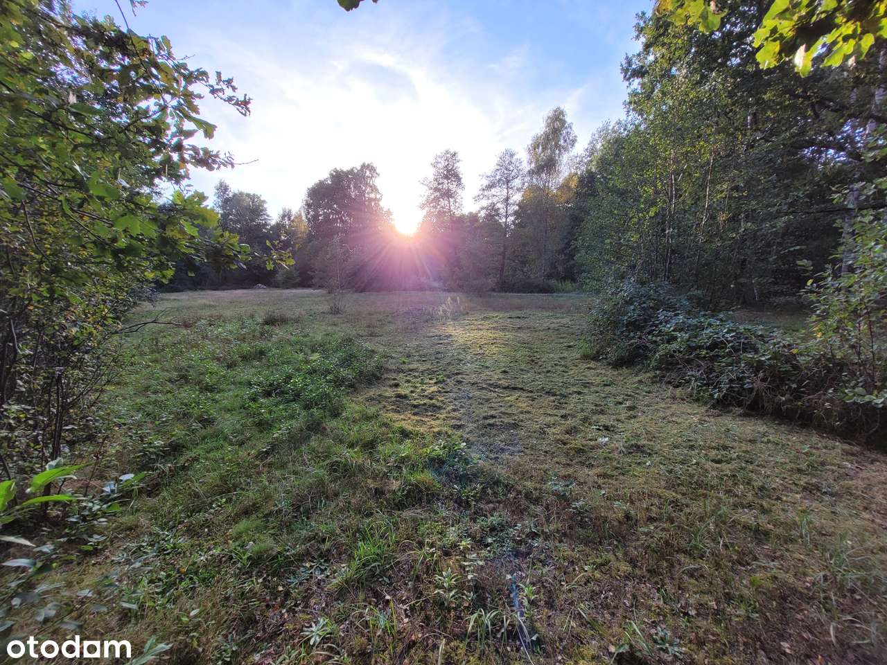 Piękna działka przy lesie, Stobierna 13,9a, wydane WZ - Pełny obrazek: 4/9
