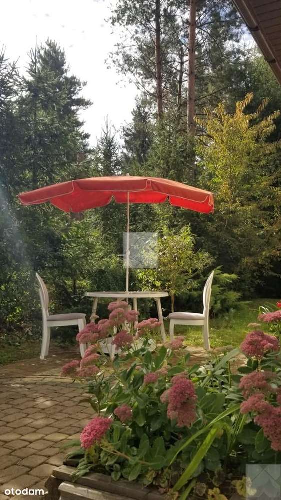 Dom w Radawie – kontakt z naturą na krańcu wsi - Pełny obrazek: 3/20