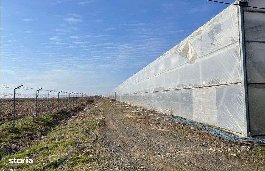 Sera de legume 10.094 mp + Hala 876 mp + teren 20.000 mp - Imagine principală: 2/9