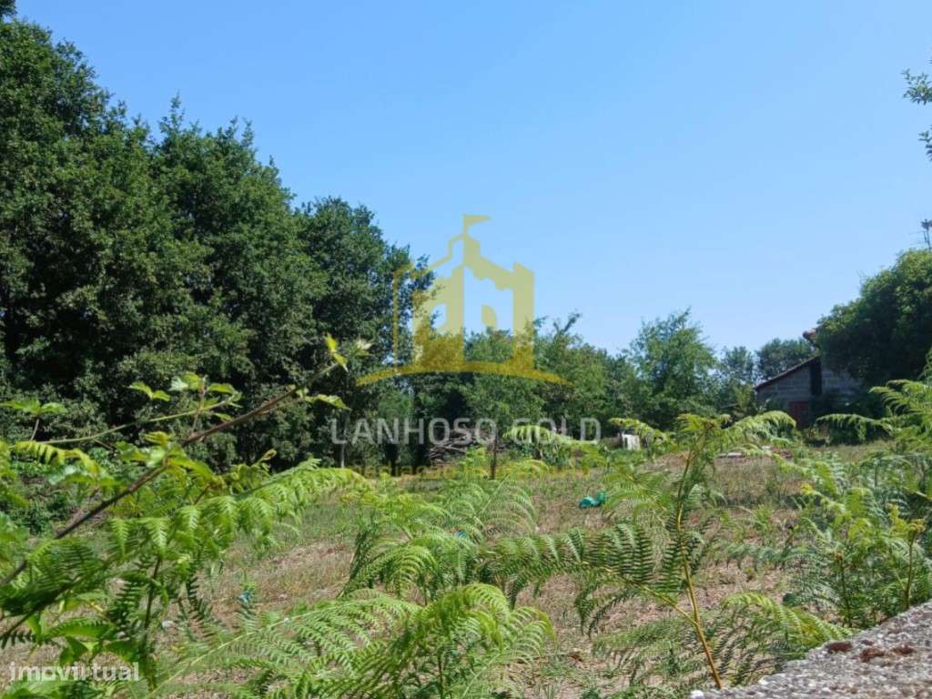 Terreno com 5.000 m² em Donim, Guimarães - Excelente Potencial - Grande imagem: 5/8