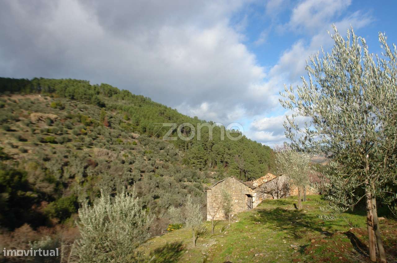 Quinta do Cubo – Refúgio Sustentável no Coração do Douro - Grande imagem: 5/31