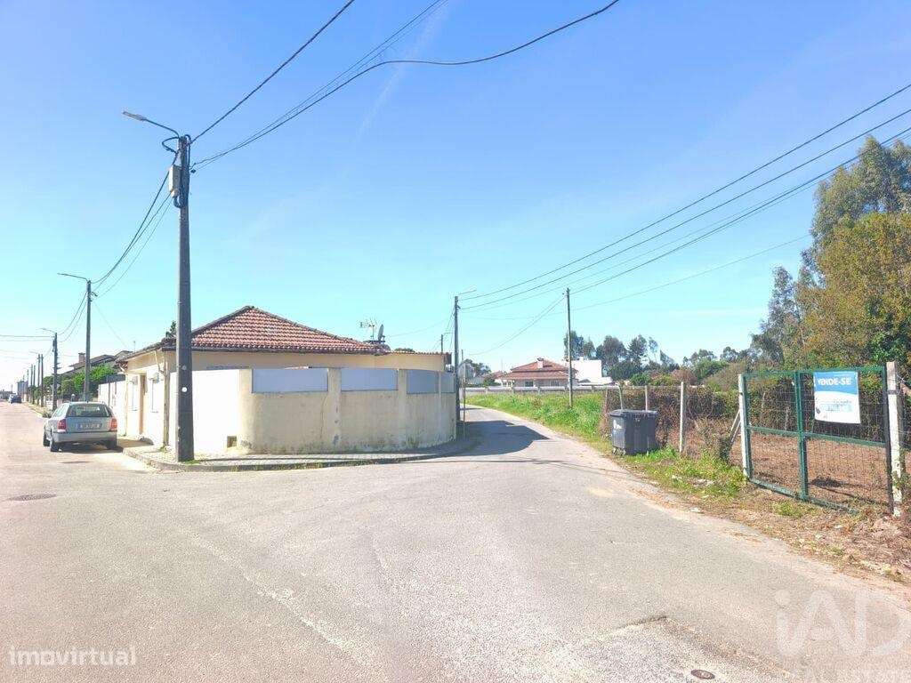 Terreno em Ovar, São João, Arada e São Vicente de Pereira Jusã de 1405 - Grande imagem: 3/8