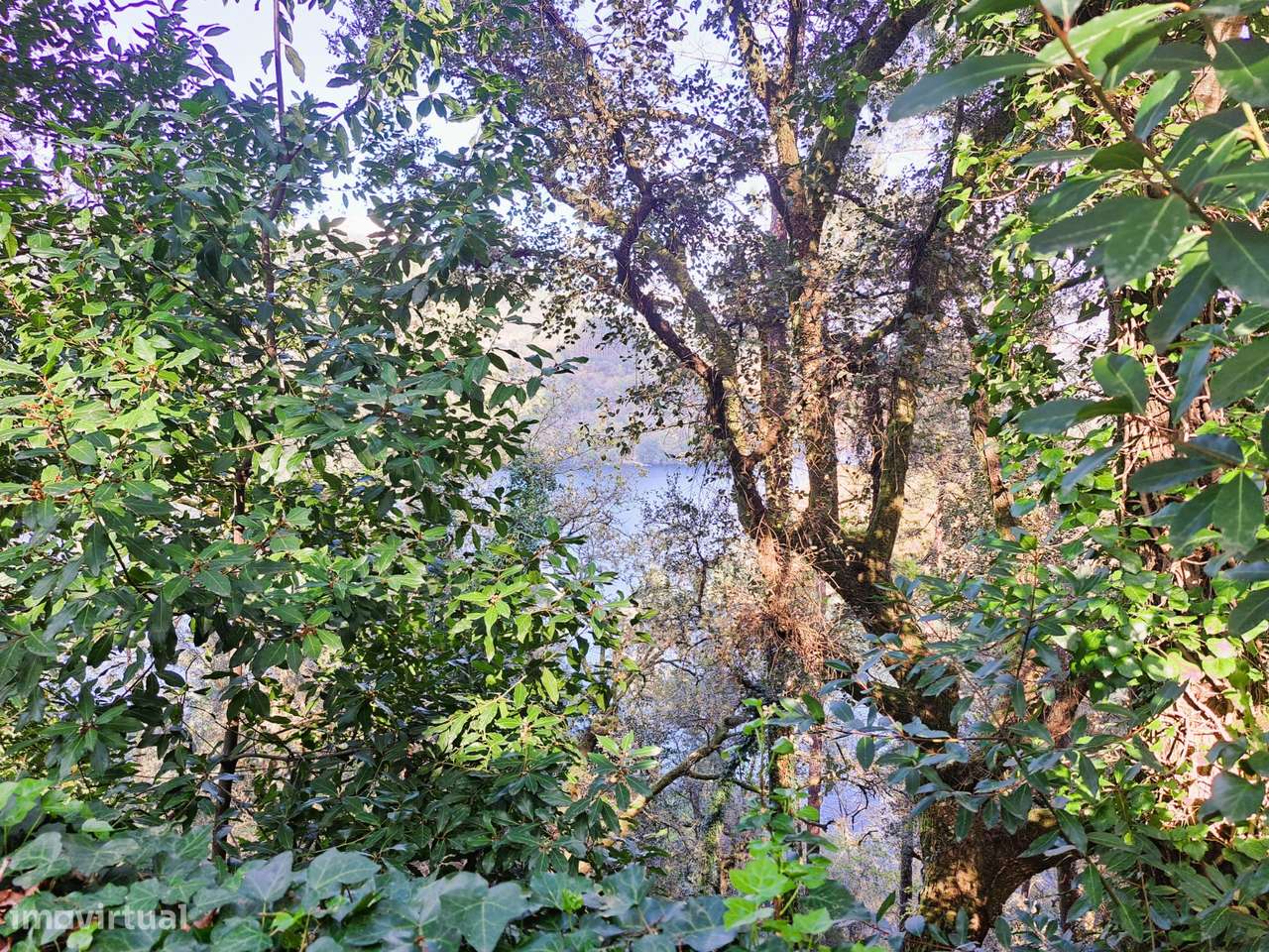 Parque Nacional da Peneda-Gerês, 4 Casas.-42