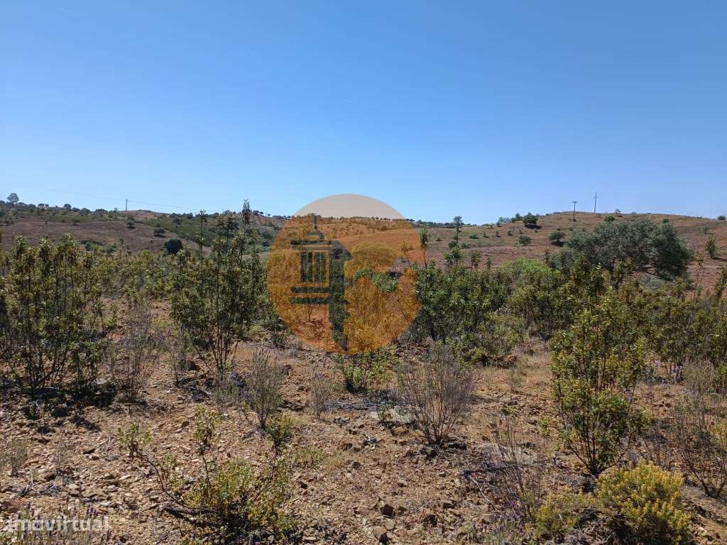 TERRENO COM 34.700 M2 - POSSIBILIDADES DE CONSTRUIR UM ARMAZEM - PR...-9