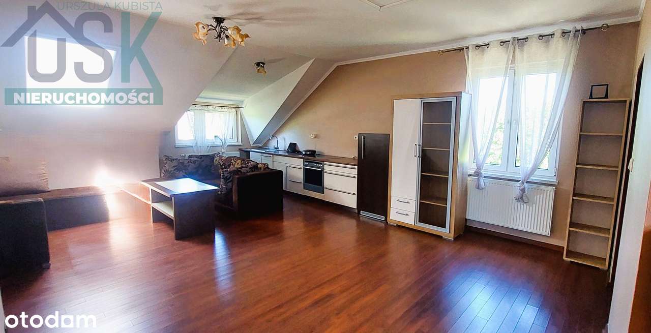 Cisownica k/Ustronia- wyjątkowa nieruchomość-7