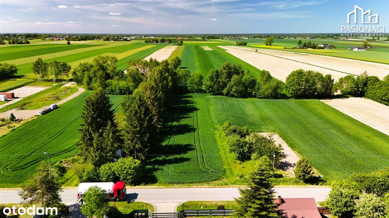 Duża działka budowlano-rolna Majdan Krasieniński - Pełny obrazek: 4/9