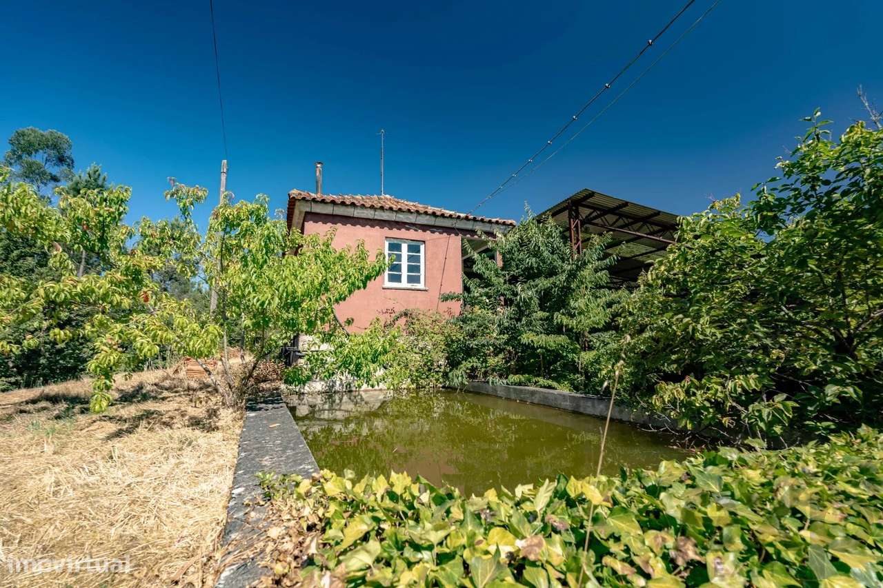 Oportunidade de Investimento | Moradia com potencial para Turismo Rura - Grande imagem: 1/34