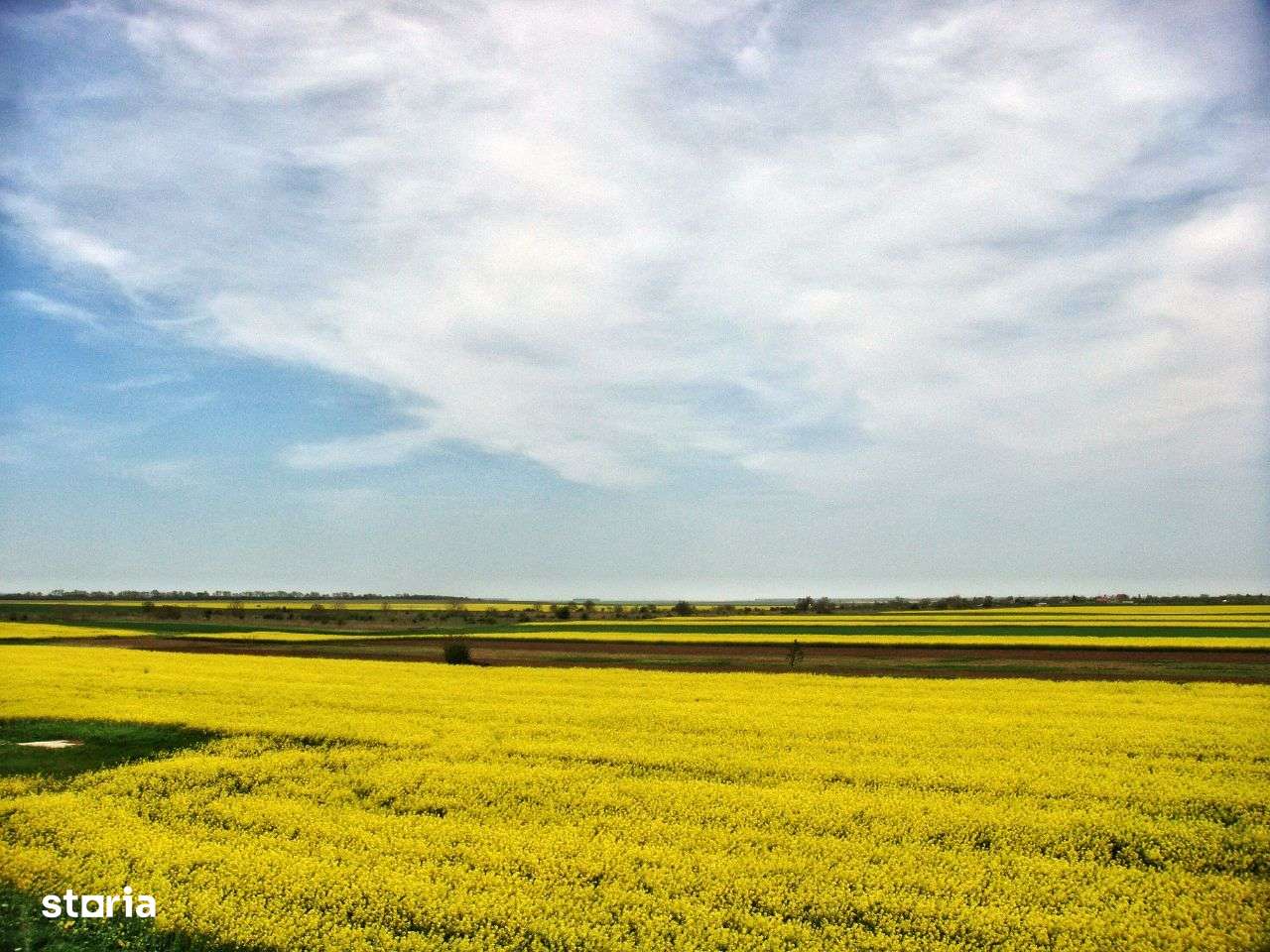 Teren intravilan. Zona Frumusani. POT & CUT foarte mari! Frumos.Natură-13