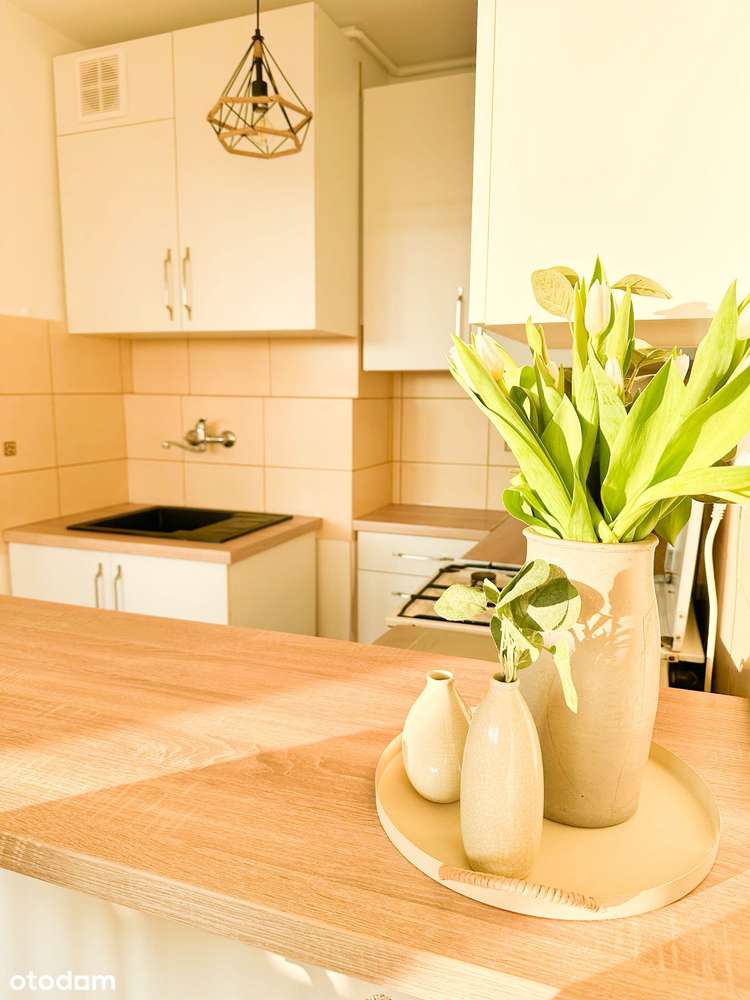 Słoneczne kawalerka z balkonem w centrum Poznania - Pełny obrazek: 4/6