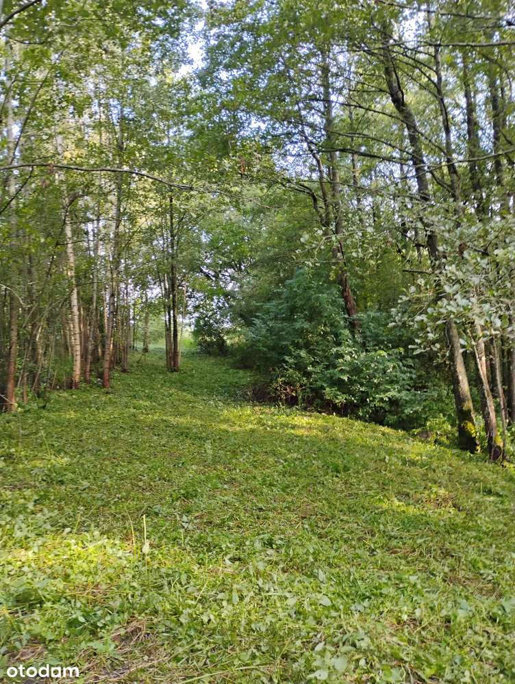 Budowlana, dostęp do pięknego rozlewiska i rzeki, SP 1km, Gołdap 15min-19