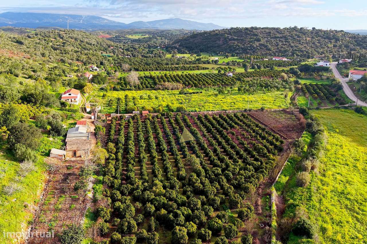 Quinta de 6,7ha com dois urbanos  na Mexilhoeira Grande - Grande imagem: 3/32