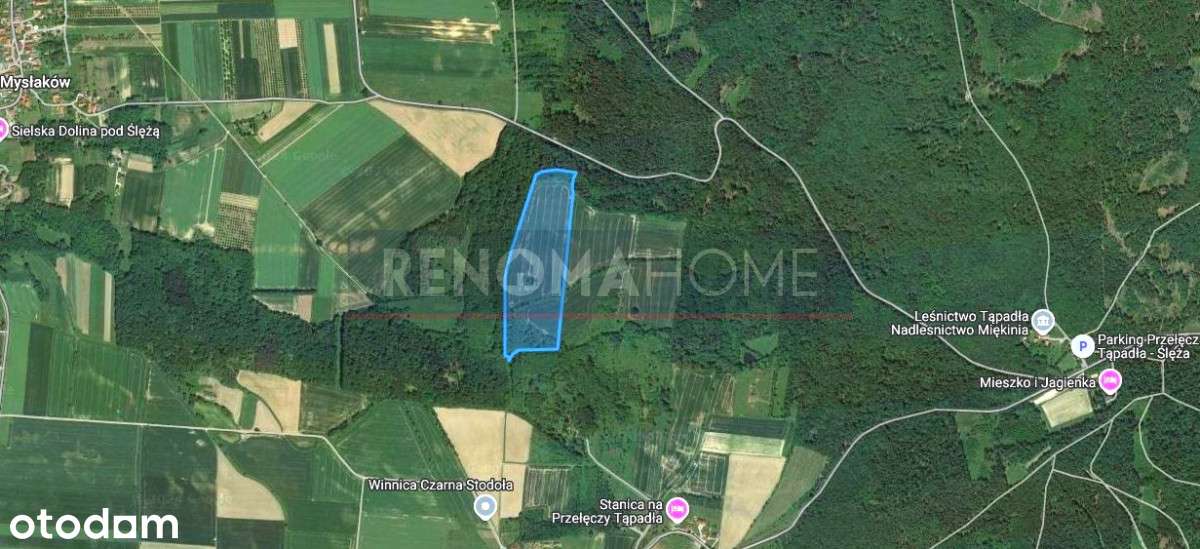 Duża Działka Rolna - Pełny obrazek: 5/13