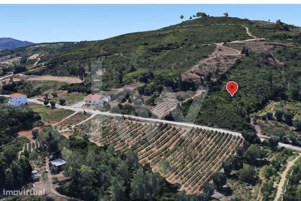 TERRENO COM 7.700M2 | VENDA | ALMALAGUÊS | COIMBRA - Grande imagem: 2/17
