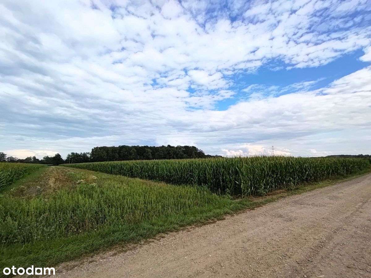 Osiem działek rolnych.