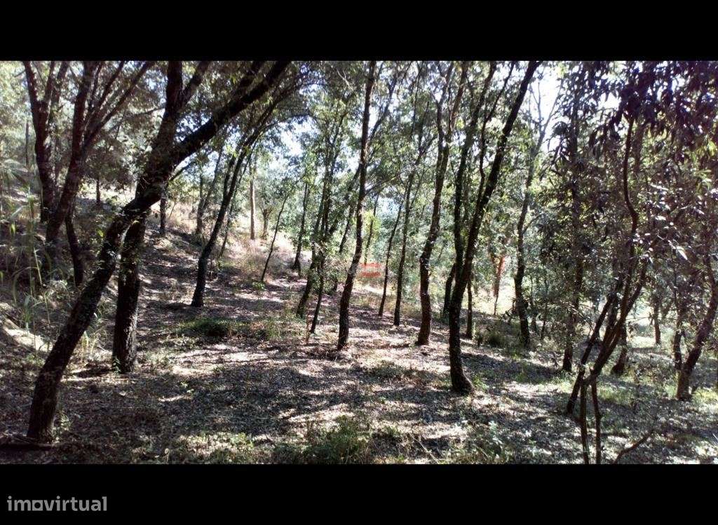 Terreno Rustico com 7400m2 - Grande imagem: 5/7