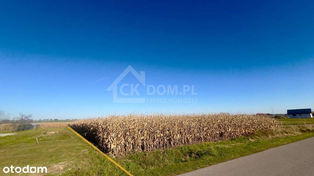 Wyjątkowa działka budowlana 1571 m² – Sielec-2