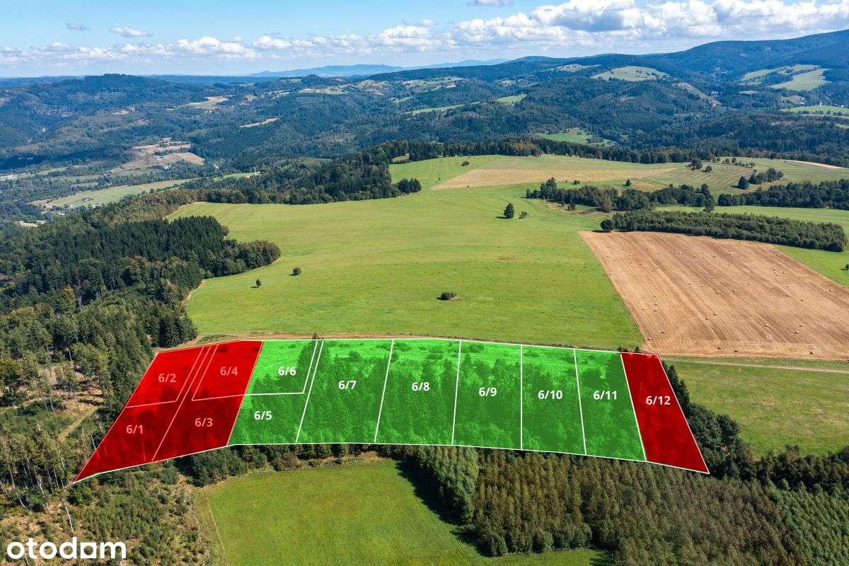 Działka widokowa z własnym lasem - Pełny obrazek: 5/10