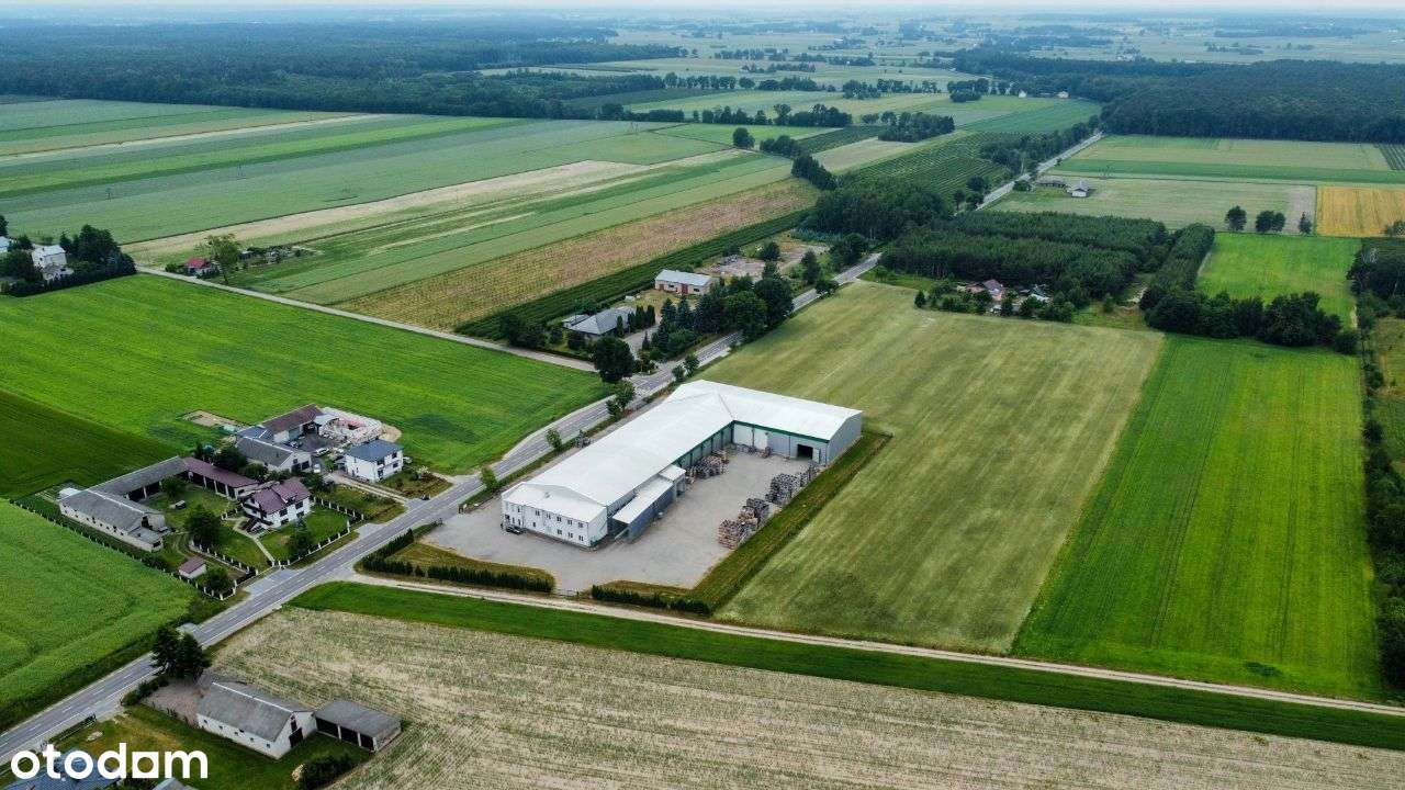 Hala z chłodniami i magazynami 3200m2, działka 2ha - Pełny obrazek: 5/20