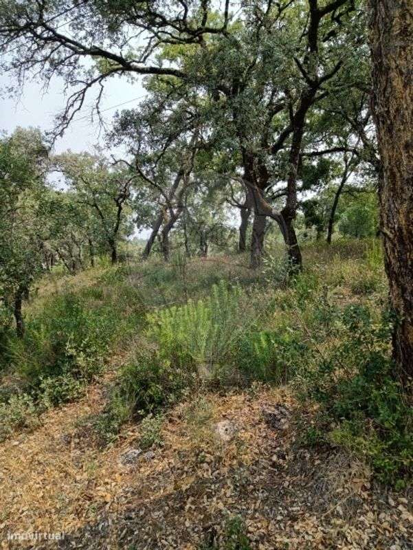 Terreno  para venda - Grande imagem: 5/8