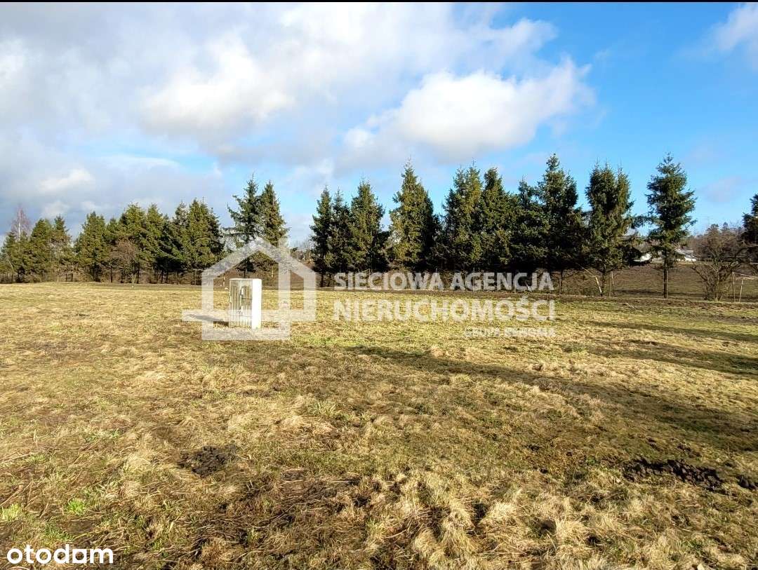 Działka budowlana pod lasem Hopowo - Pełny obrazek: 5/8