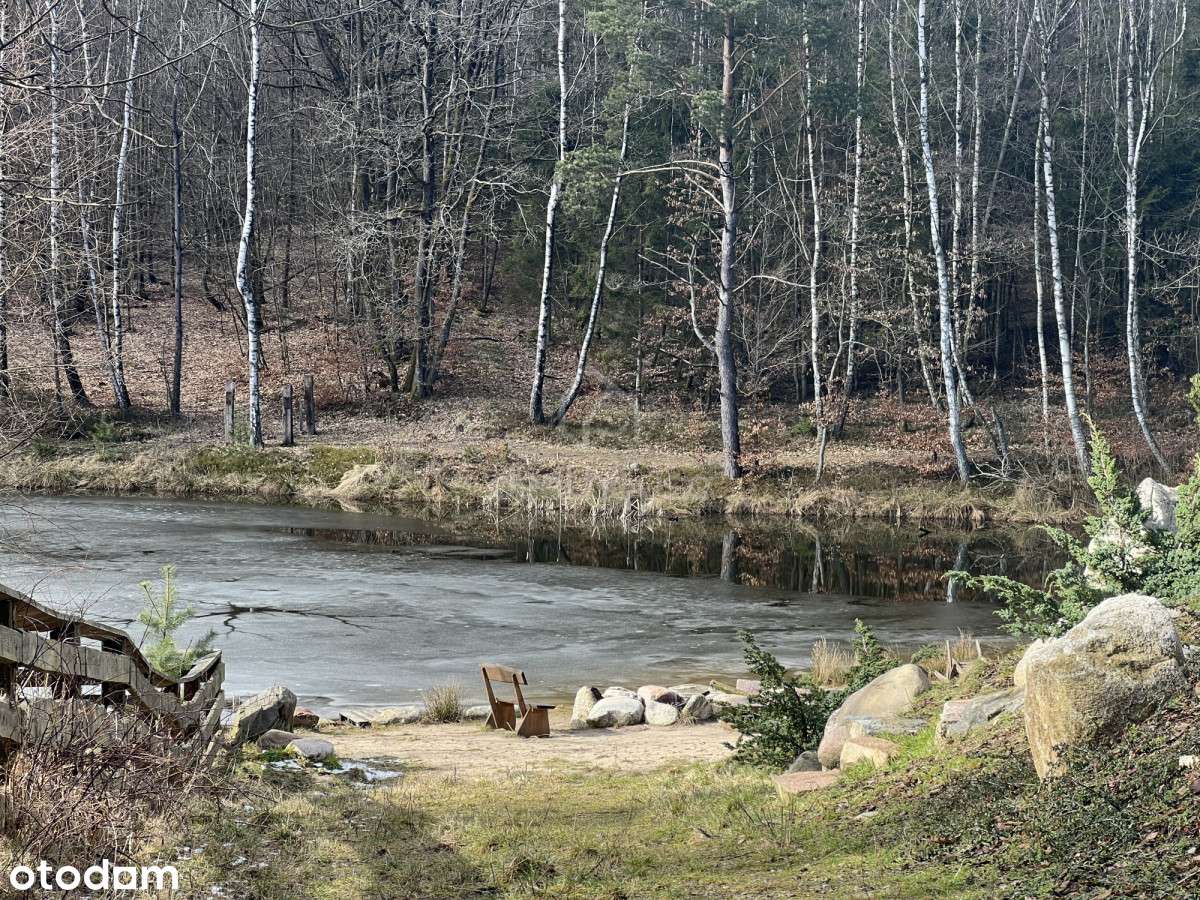 Pierwsza linia brzegowa, Jezioro Stacinko.-12