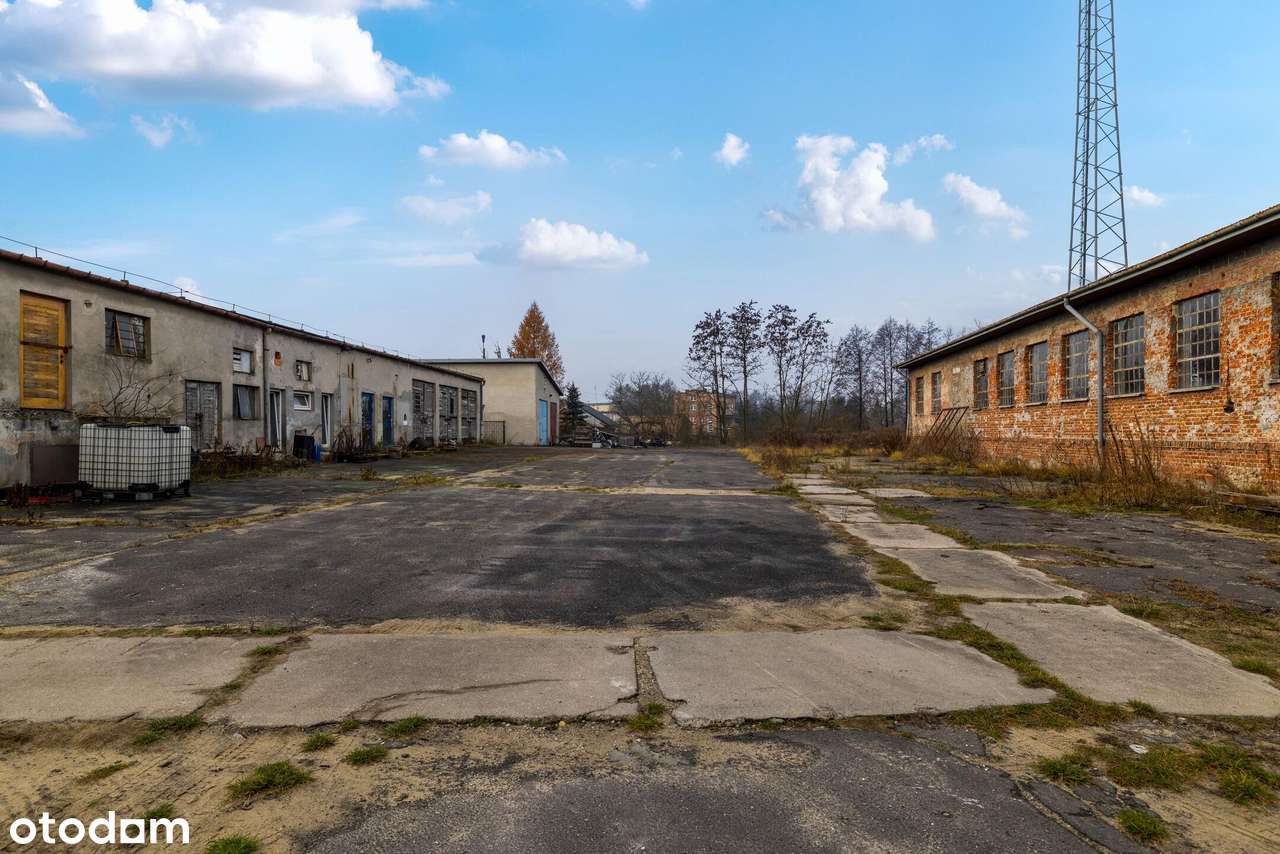 10 000  m2  w centrum Szczekocin-5