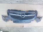 Opel Insignia - Grill - 1