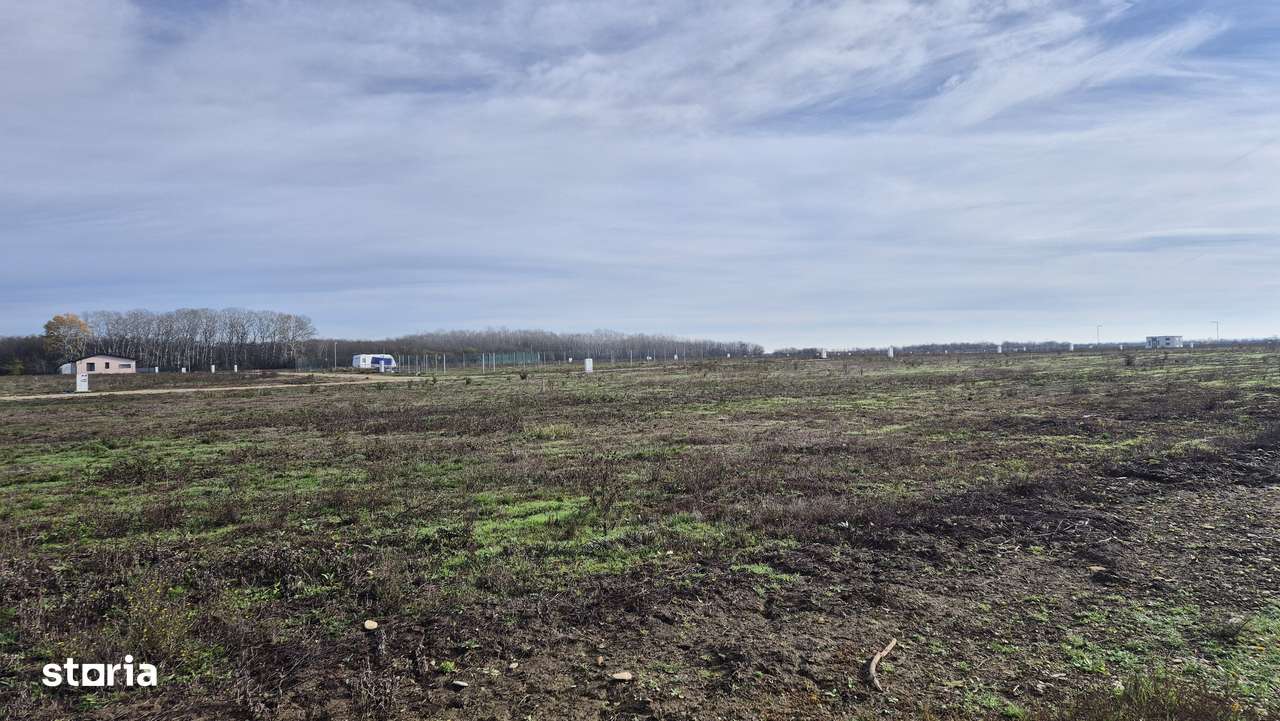 Loturi de teren 638 mp - curent tras la teren - Crevedia-6