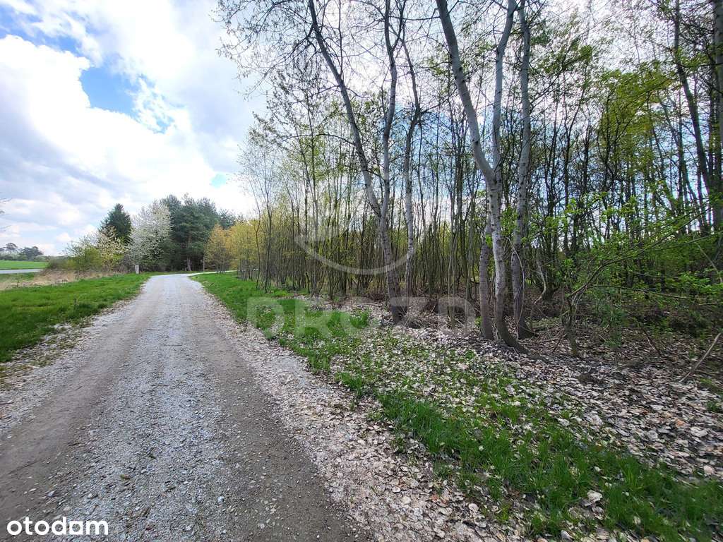 Działka zagrodowa RM/ 1, 33 ha/media/MPZP/bez prow-8