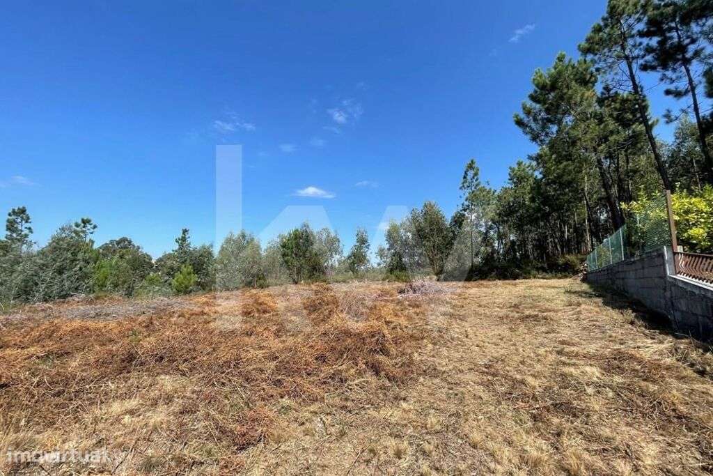 LOTE DE TERRENO URBANO PARA CONSTRUÇÃO COM 946 M2 EM VILAR (OLIVEIRA D - Grande imagem: 1/15