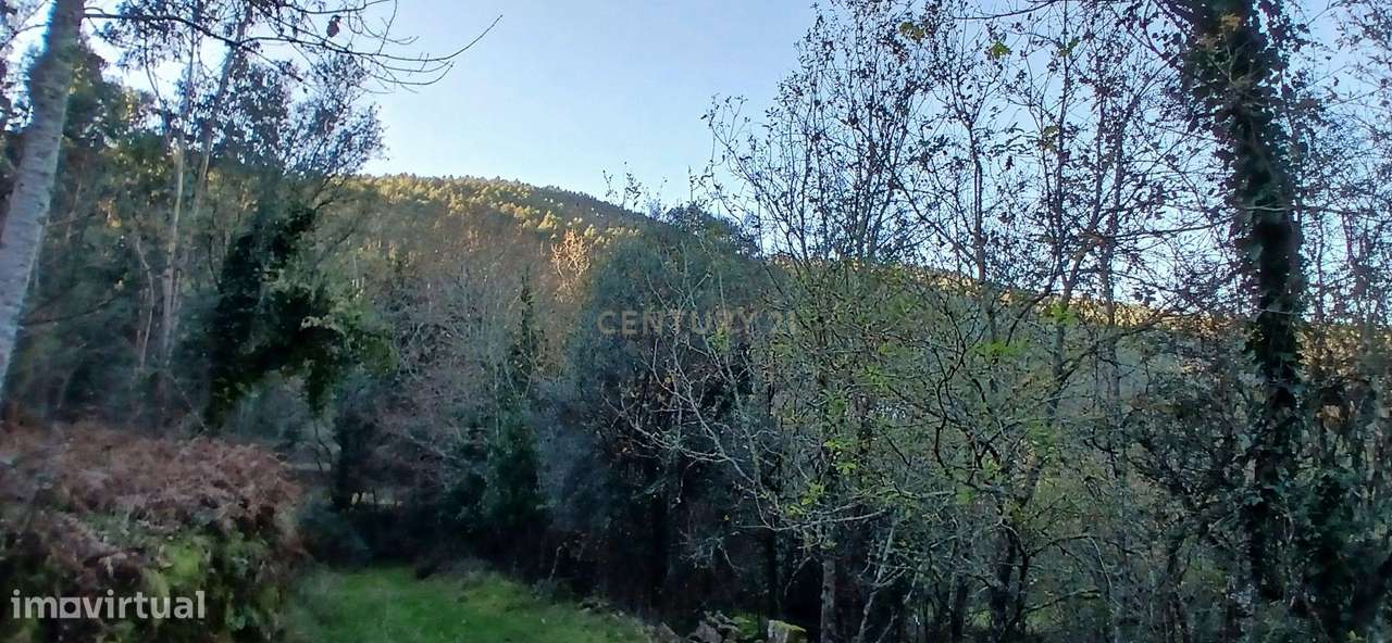 Azenha em ruina para venda - Grande imagem: 4/17