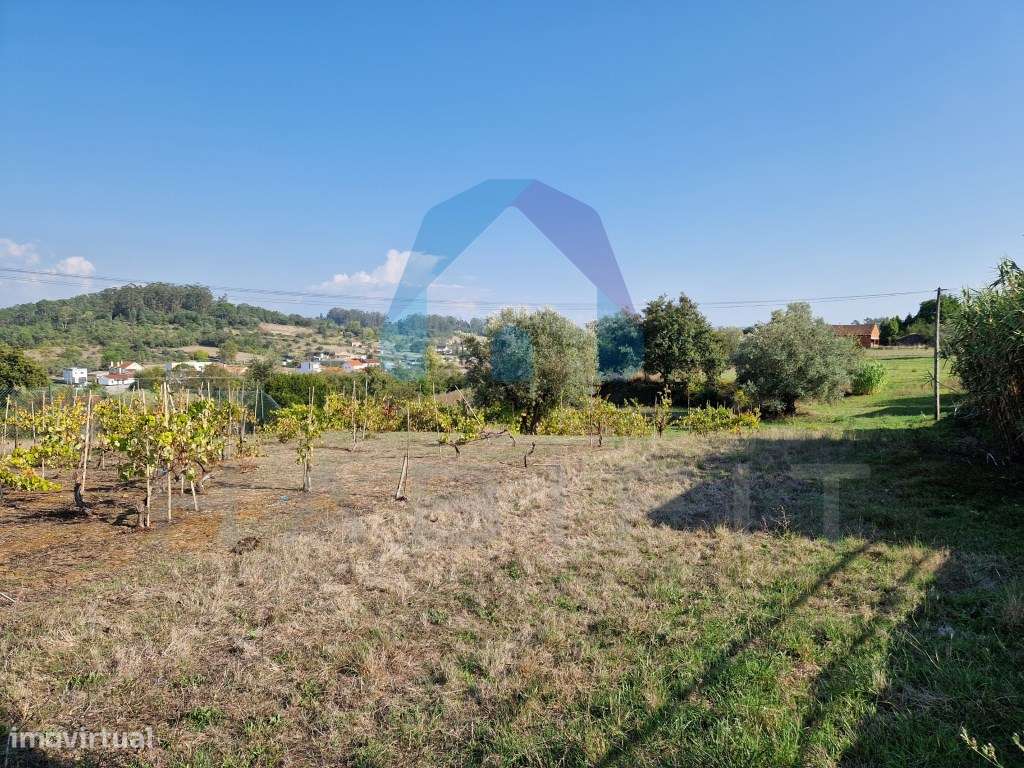 Terreno com Viabilidade de Construção - Pombal-4