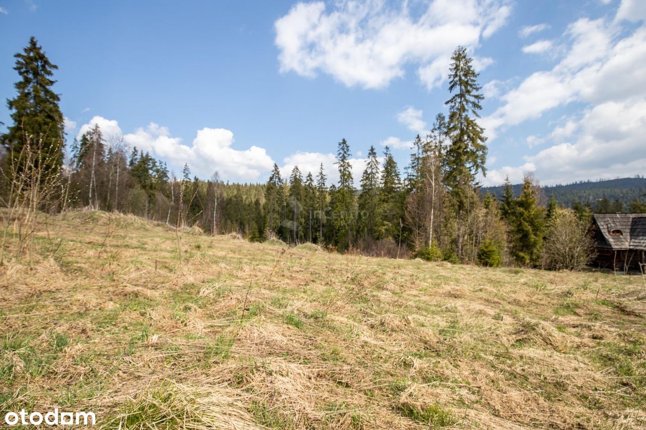 Widokowa działka z lasem. 4046m2. Nowy Targ.