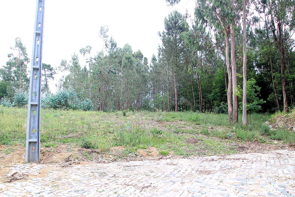 Terreno  para venda-21