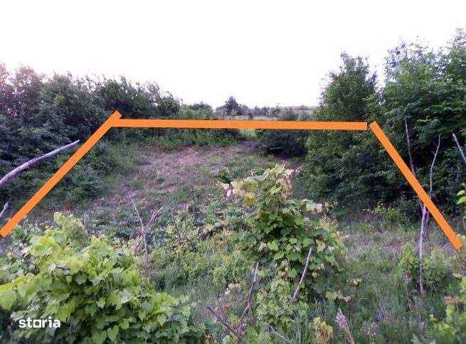 Teren 1000 mp Dealu Nou - Sărata-2