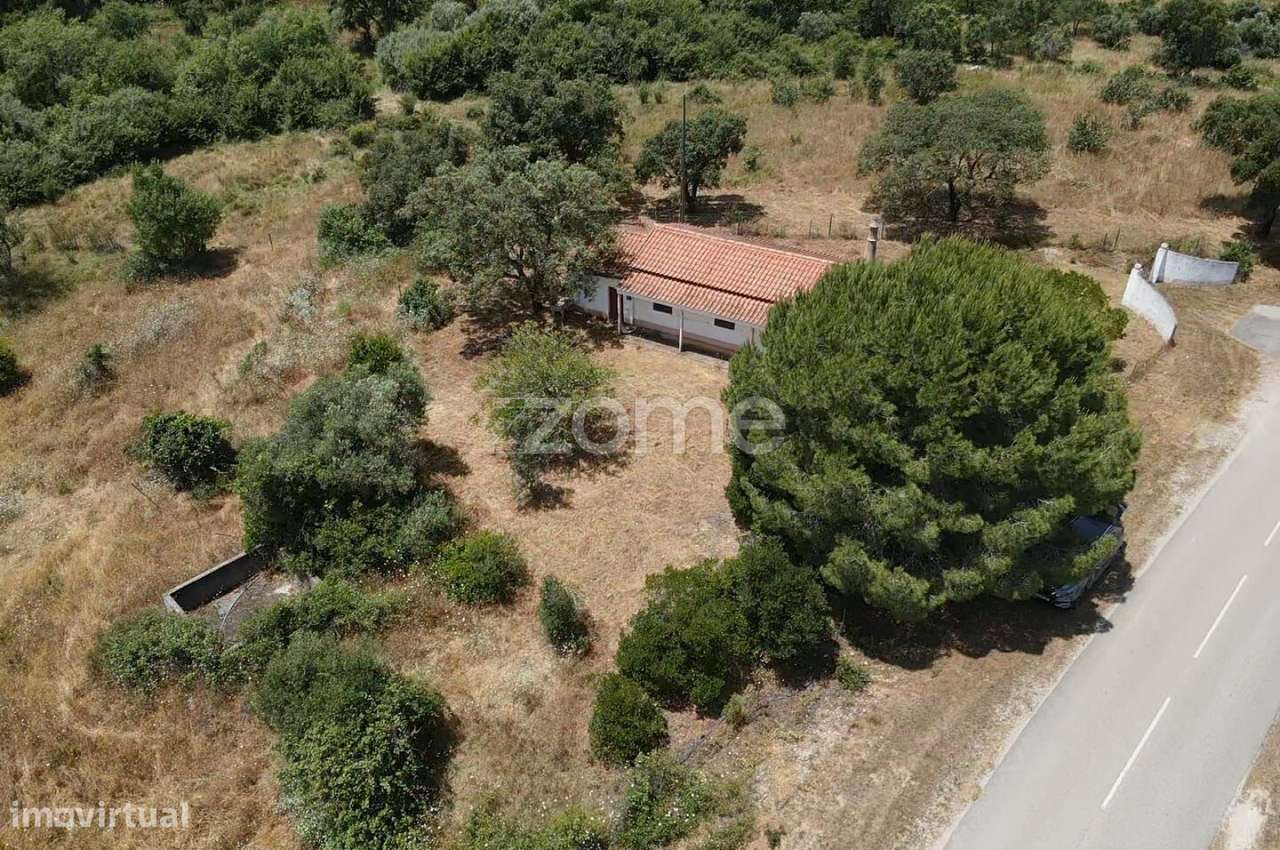 Terreno Rústico c/ 28.840m2 e Armazém de 30m2, S.M. da Serra em Mon... - Grande imagem: 3/53