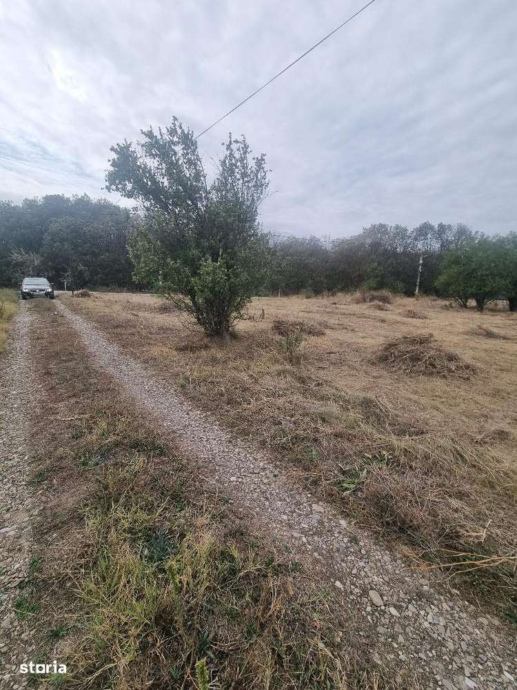 Teren pentru casa, sat Spataru, zona padurii ! - Imagine principală: 4/5