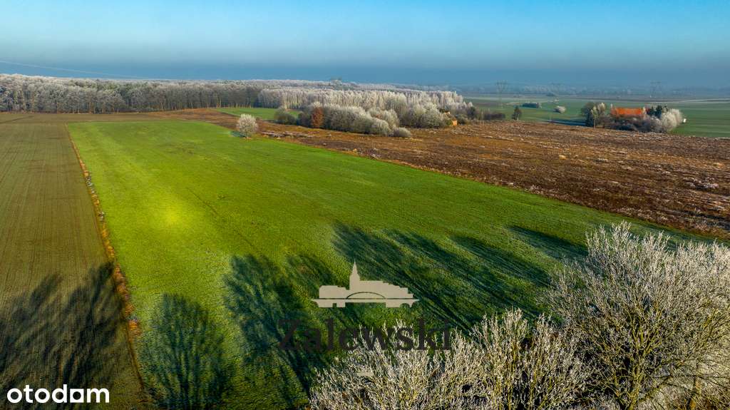 Działki budowlane w Marwicach - Pełny obrazek: 4/7