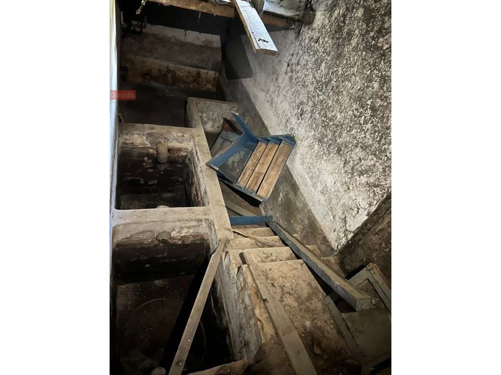 Lagar em Coimbra - Torres do Mondego (Coimbra) Portugal-30