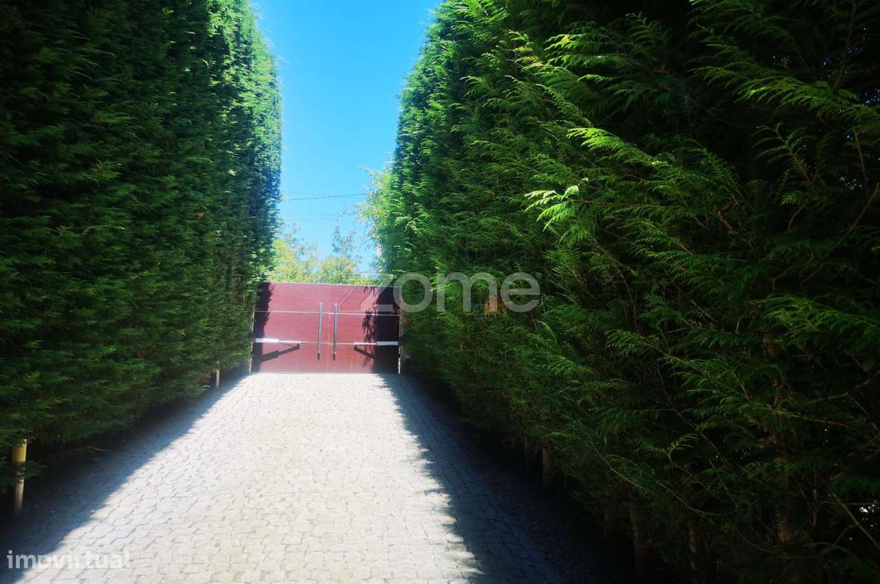 QUINTA T3 COM PISCINA EM BAIÃO - Grande imagem: 4/60