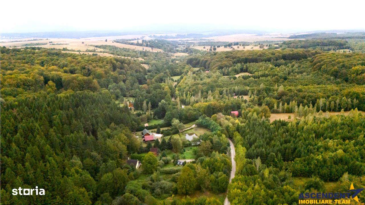 Tur 3D!Cabana de vacanta,zonare valoroasa, cu teren de 2.100 mp,Vladen - Imagine principală: 3/20