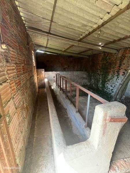 Arrenda-se Terreno em Chaves -Lameirão aproximadamente 300mt2 - Grande imagem: 5/12