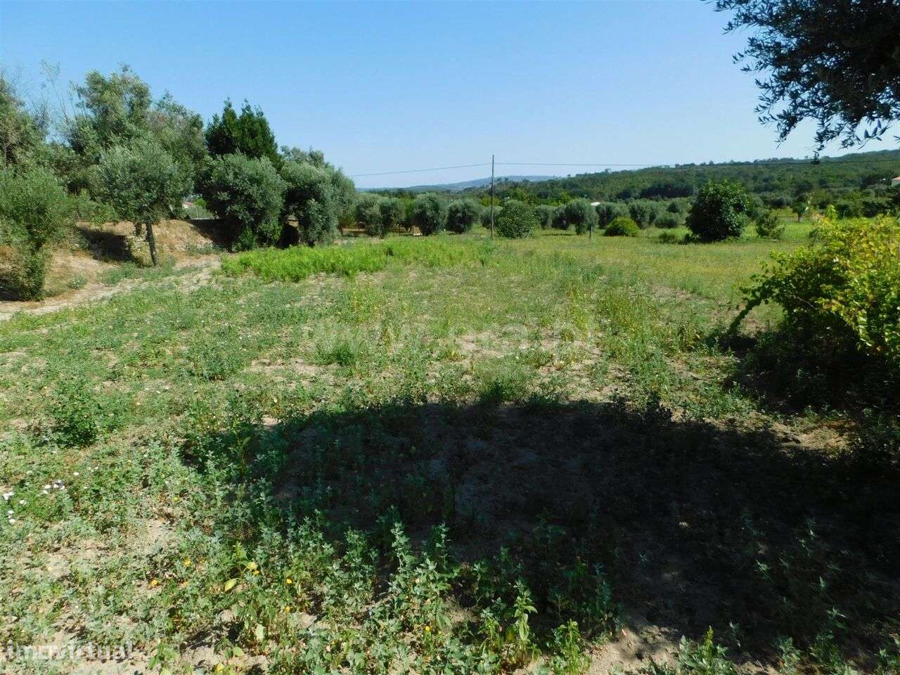 Terreno / Gouveia, Vila Nova de Tazem - Grande imagem: 3/20