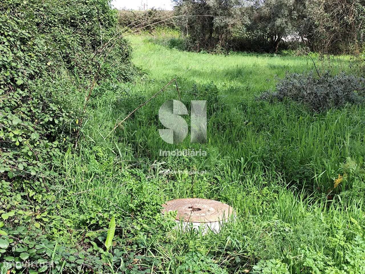 Terreno em Mealhada - Grande imagem: 4/11